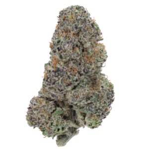 Buy Strawberry Cough Weed in Dubai