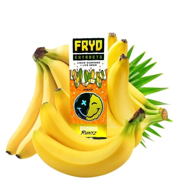 Fryd 2G Disposable UAE - Image 2